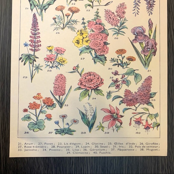 Vintage French 1909 Fleurs Floral Print 2 of 2 - Picture 3 of 3